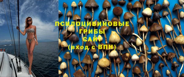 круглые Бородино